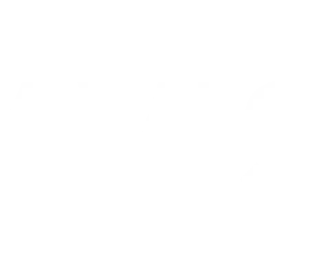 Avis