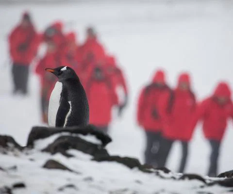 Antarctica_Silversea.jpg