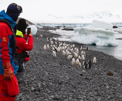 The cruise line partnered with the #WeTwo Foundation to take 10 nominated underprivileged teens on the expedition (Photo: Chelsea Claus)