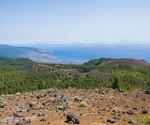 La_Palma_Credit__Luca_N___Unsplash_luca-n-42w-Tmc9Ceg-unsplash_METhumb.jpg