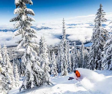 Photo: Ryan Flett