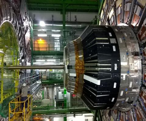 Large_Hadron_Collider_CERN_Black_Tomato.jpg