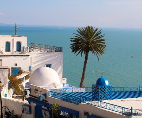 Tunisia has further softened its entry rules (Credit: Noella Guirola / Unsplash)
