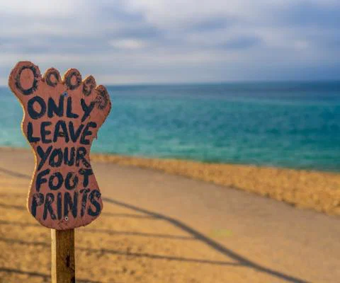 (Credit: Nick Fewings / Unsplash)