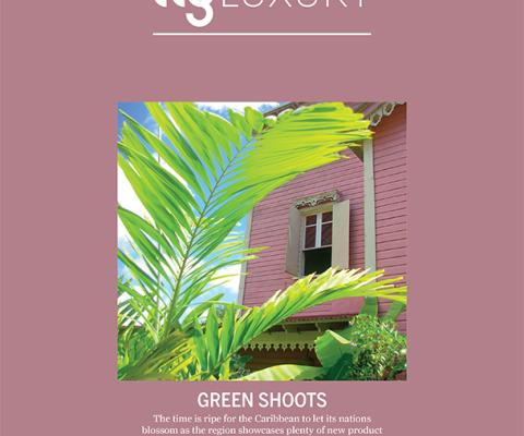 TTG Luxury cover