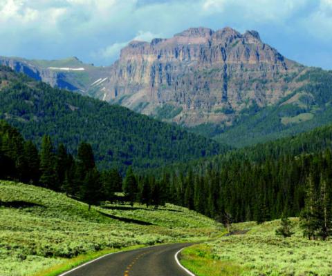 Yellowstone_National_Park.jpg