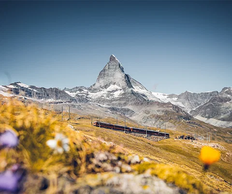 switzerland_hero_email_oct22.png