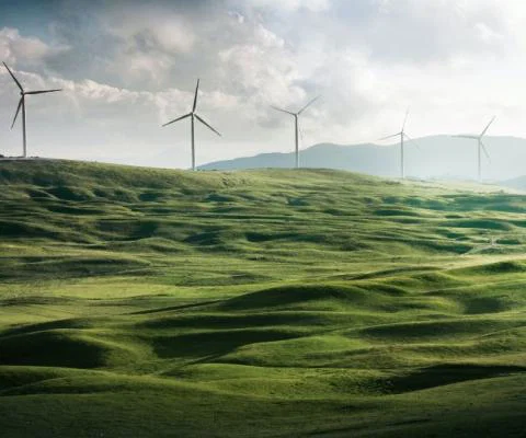 Sustainability2.jpg