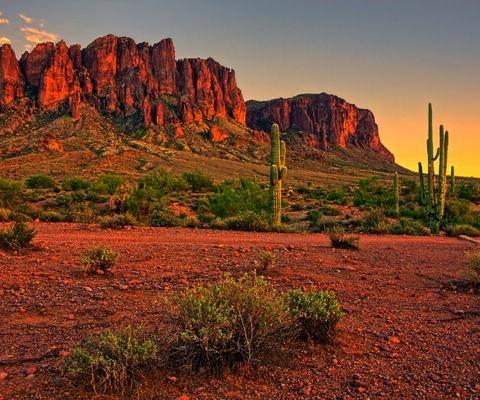 Scottsdale_Newmarket.jpg