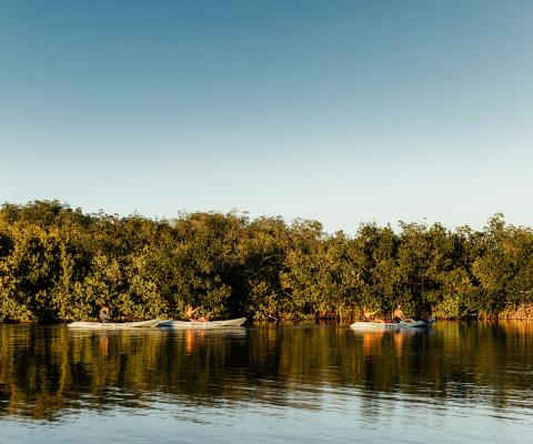 A kayak tour at Cocoa Beach presents a different side to Florida