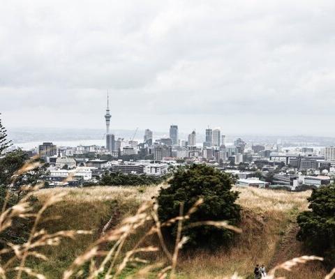Auckland will regain a non-stop link to Doha (Credit: Belle Co / Pexels)