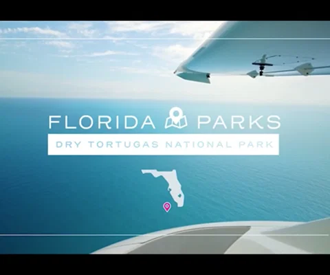 FL_refresher_600x400.png