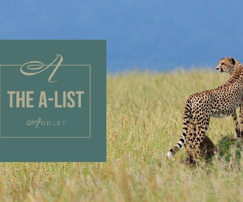 A-List_1.jpg