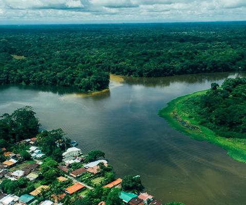 Tortuguero