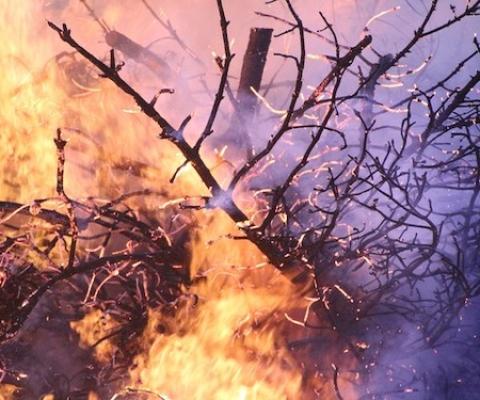 forest-fire-g77f96f5ee_1280.jpg