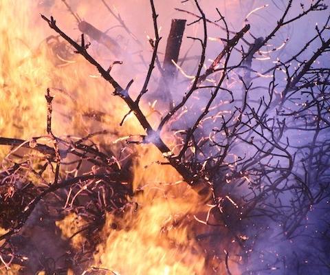 forest-fire-g77f96f5ee_12801.jpg