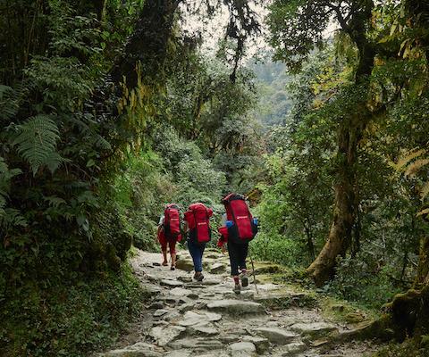 Intrepid-Travel-Nepal_Ghorepani_2019_75870-1.jpg