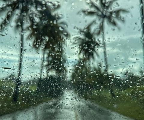 Mauritius_Storm_Weather_Palm_Trees_iStock-1690536556.jpg