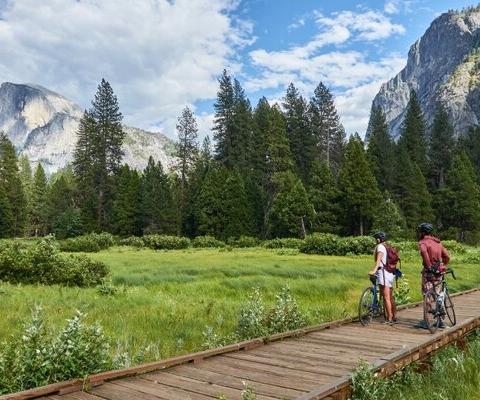 Yosemite_mountain_trees_bike_bicycle_biking_iStock-1326653507_1.jpg