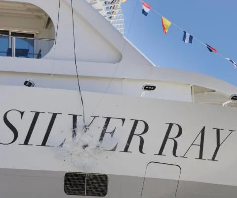 Silver_Ray