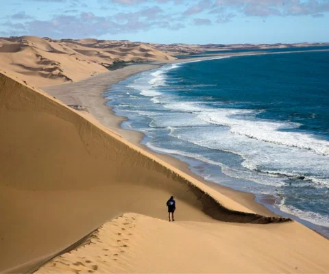 namibia-essentials1_MDesign.png