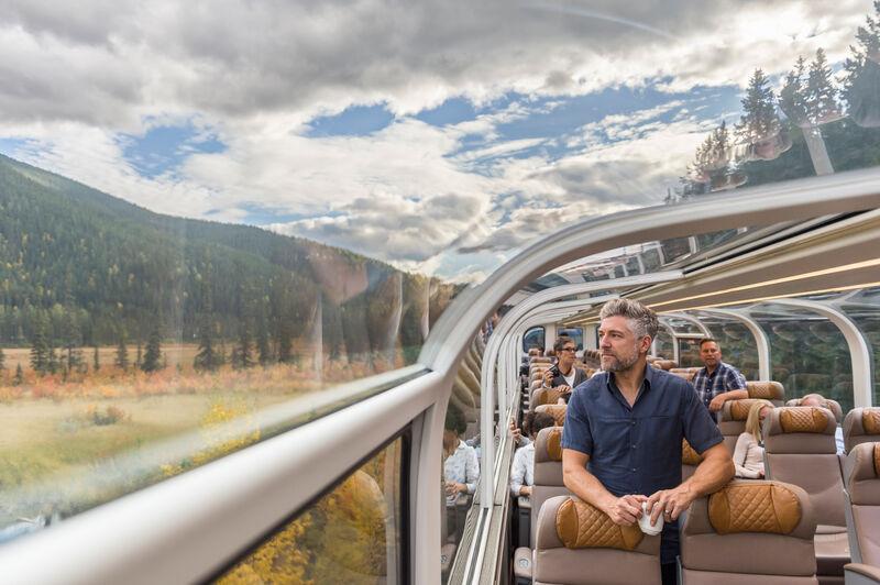 Man looks out of glass-domed train carriage at trees and grassland