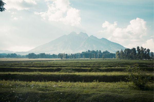 Volcanoes Volcanoes