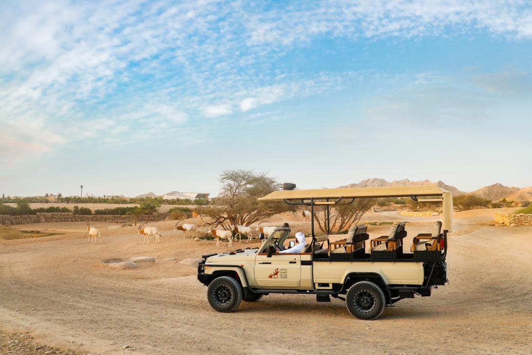 Al Ain Zoo