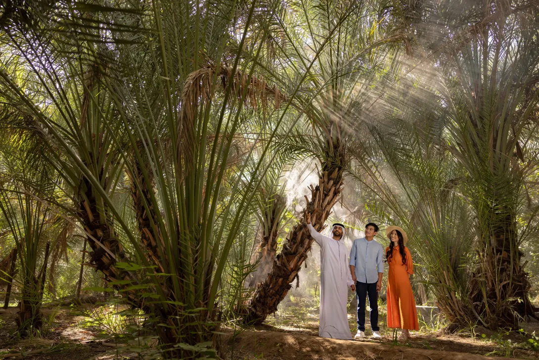 Exploring Al Ain Oasis