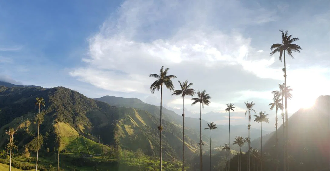 Cocora Valley, Salento, Colombia