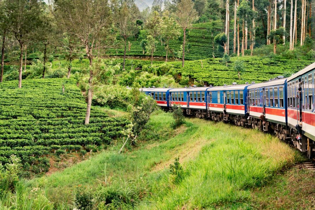 A Sri Lanka train line travelling through tea fields A Sri Lanka train line travelling through tea fields