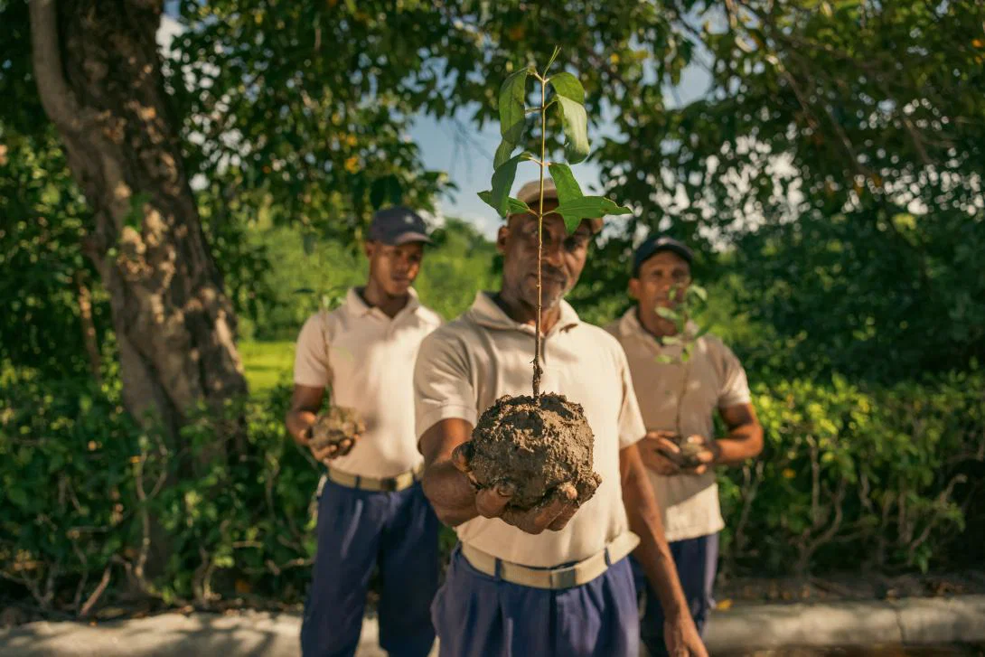 Sustainable travel with Iberostar