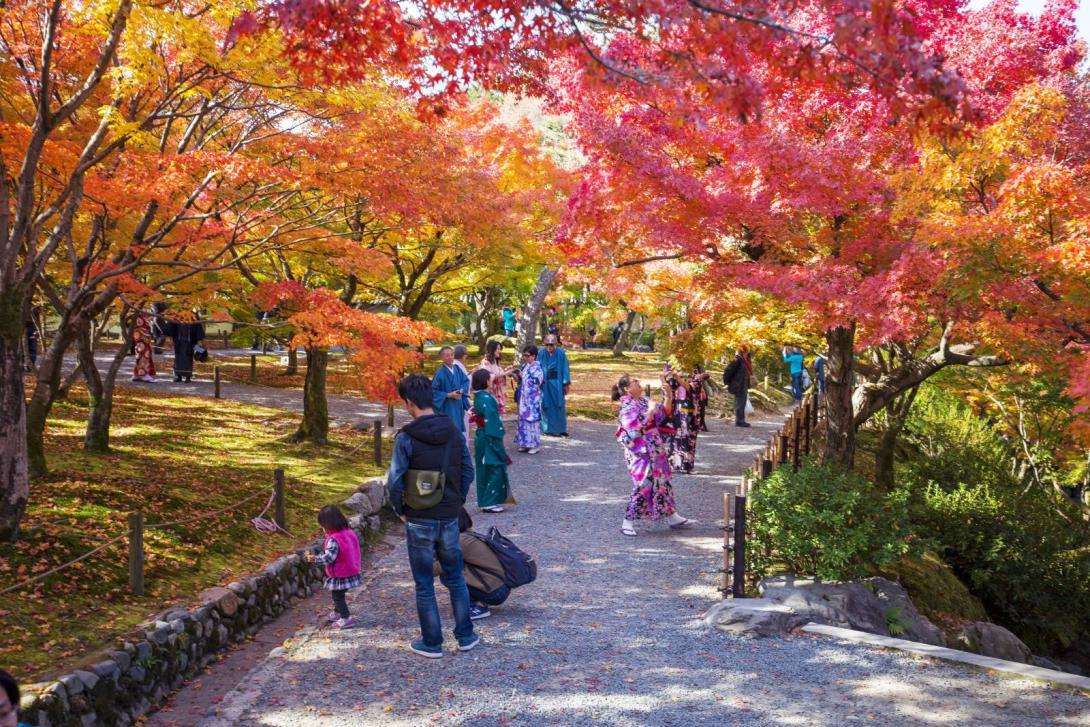 Autumn day in Japanese park Autumn day in Japanese park