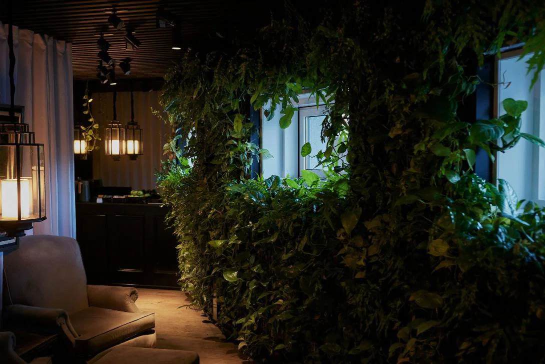 Moodlit spa with lots of green plants