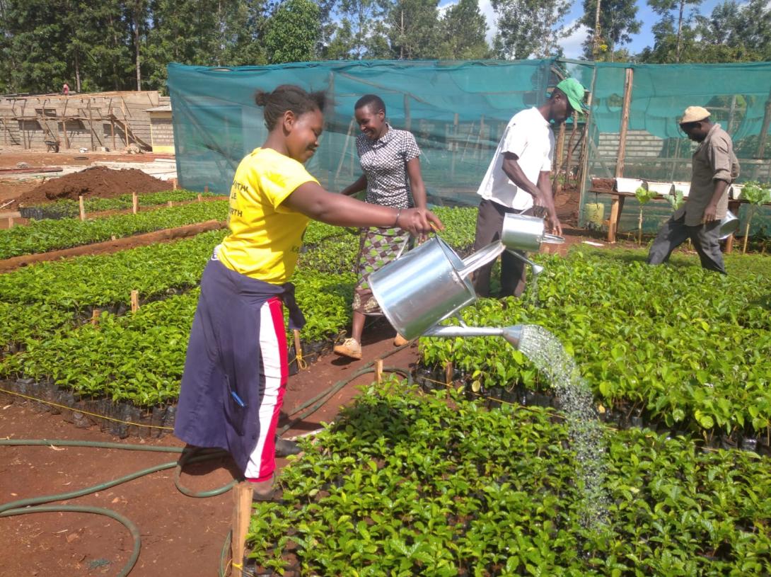 Trees for Kenya