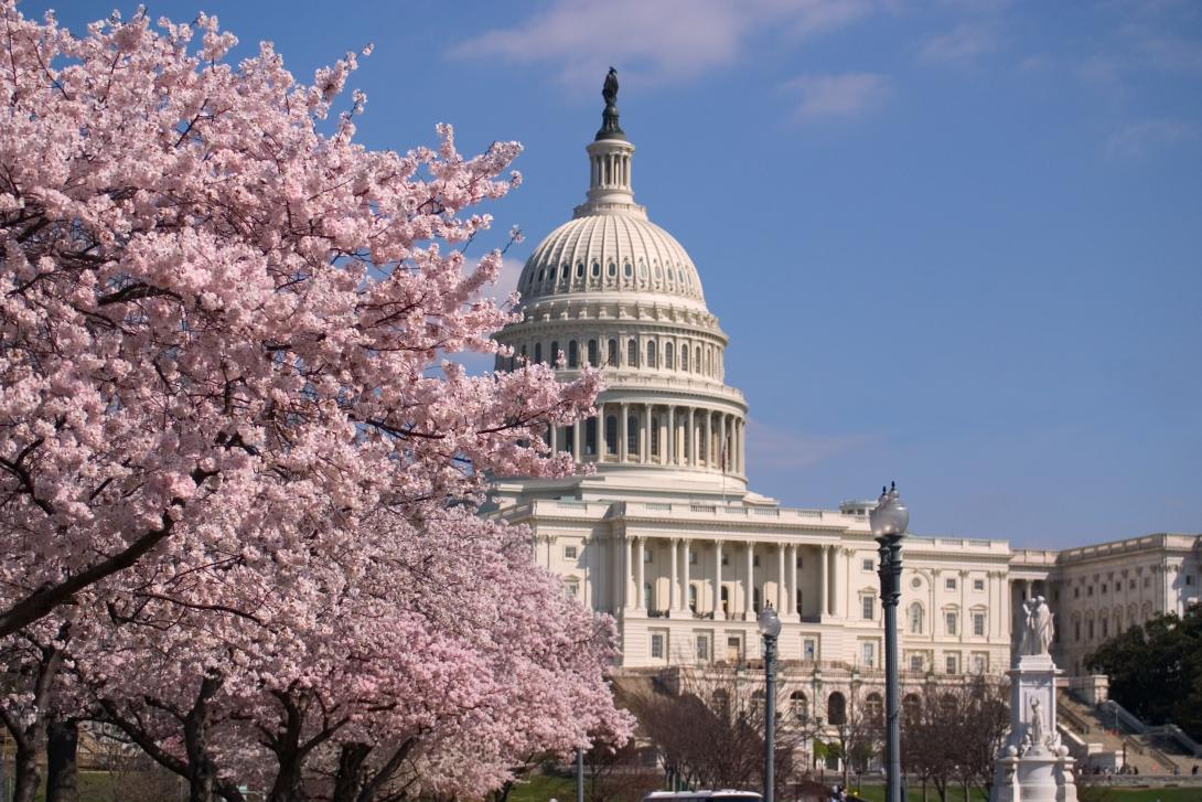 The iconic Capitol building in Washington DC