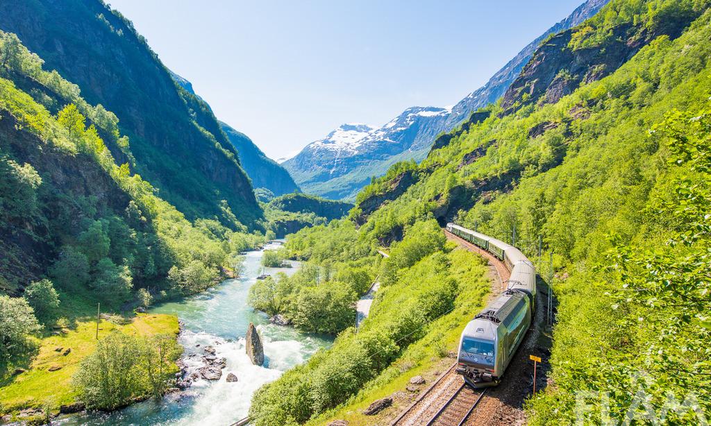 A train on Railbookers' Norway in a Nutshell itinerary