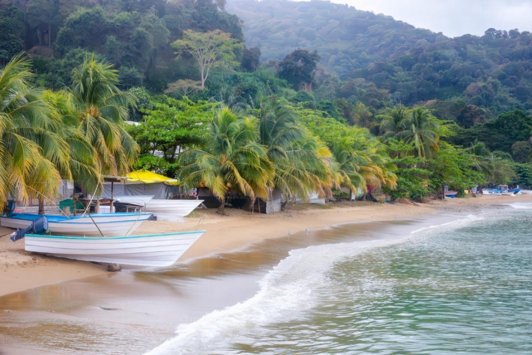 Sandy beach with greenery