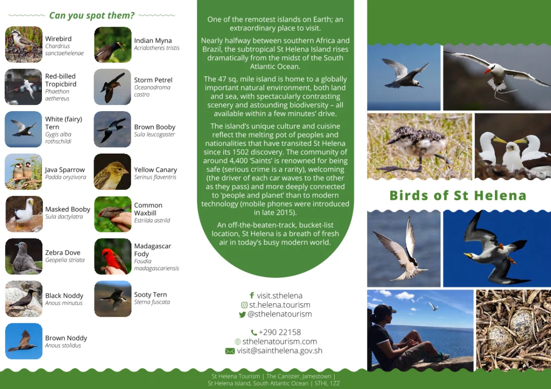 Birds_of_St_Helena_Brochure61PDF_MDesign.png