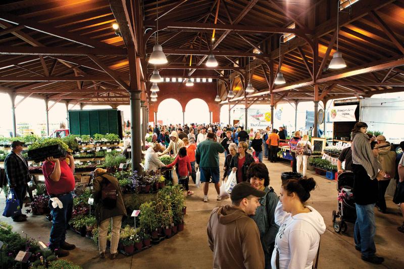 Setting out their stall