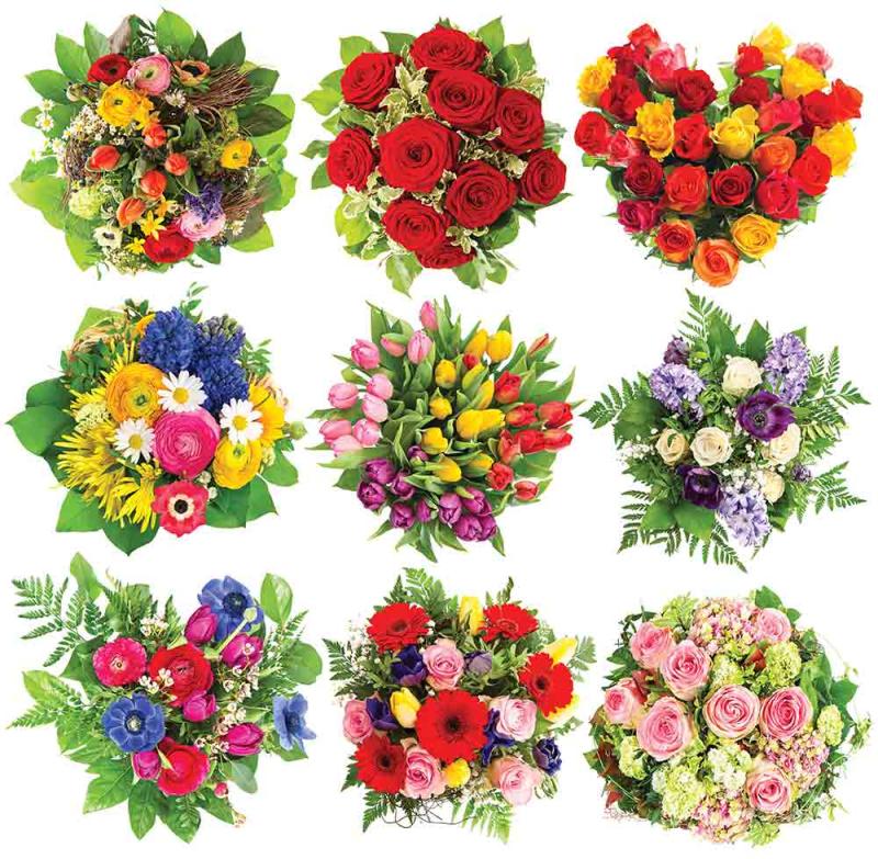 Blooming marvellous