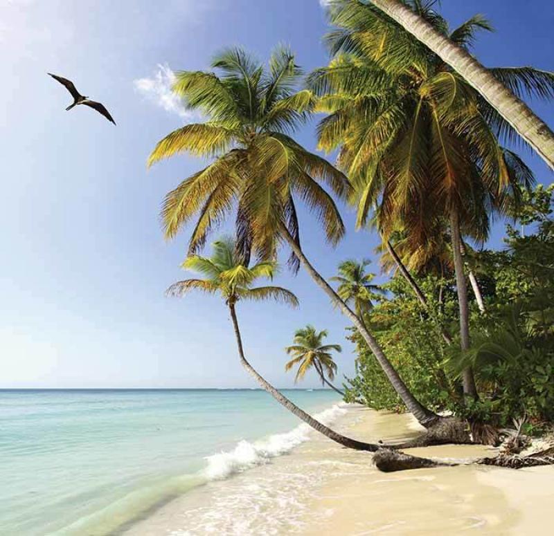 How to sell Tobago