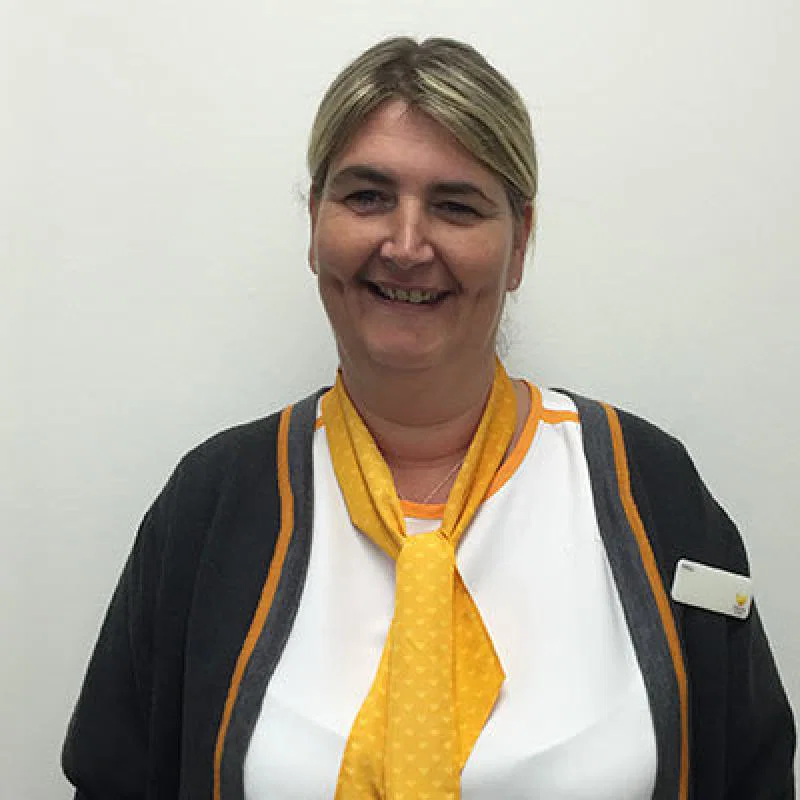 Meet the consultant