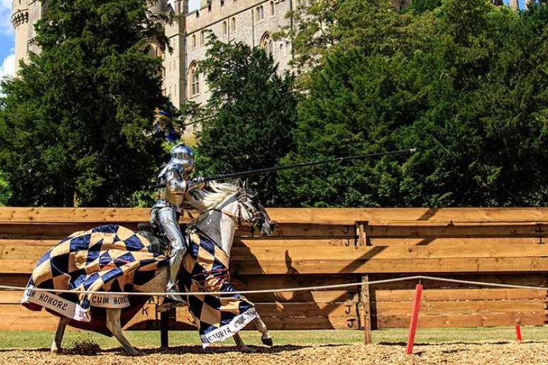 Knight in shining armour