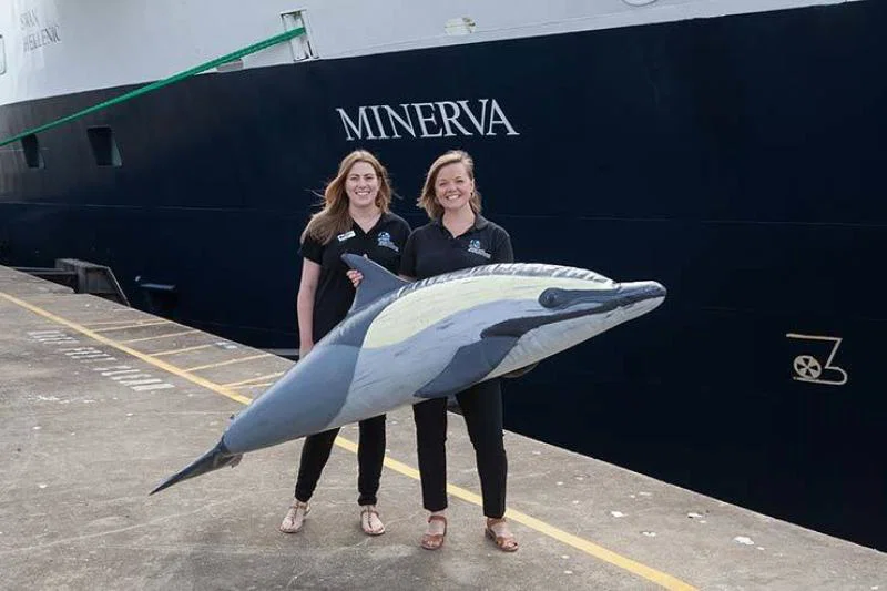 ORCA ahoy!