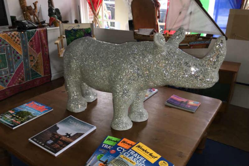 Rhonda the Rhino - Haslemere Travel 