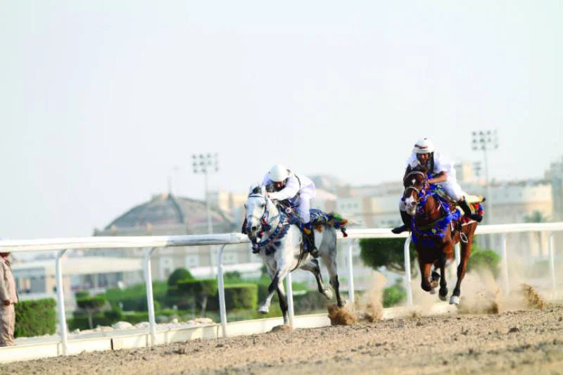 Qatar for sports fans
