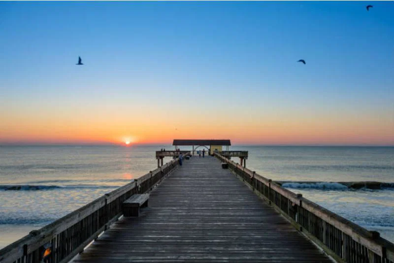Must-do day trips