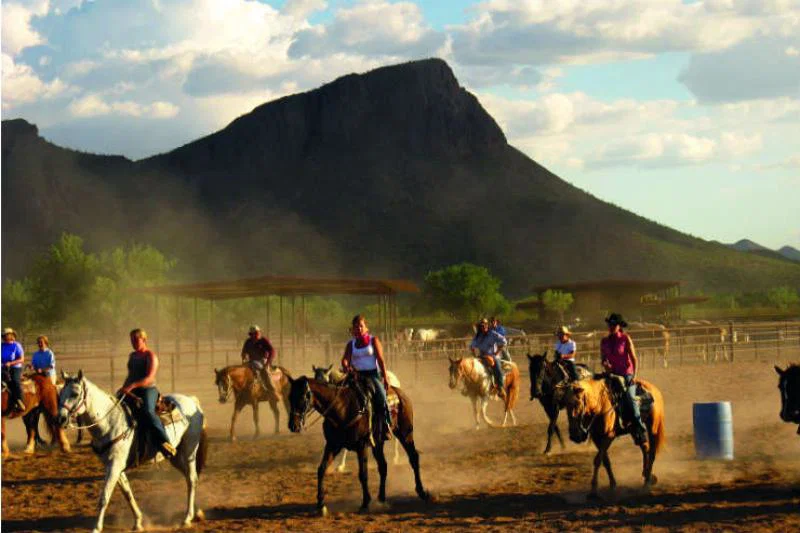 Horse riding 