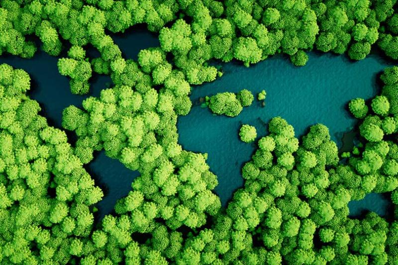 For Tui Hotels and Resorts, the company is working to reduce hotel emissions as far as possible to zero as early as 2030